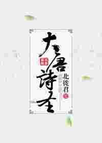 大唐诗圣在线观看