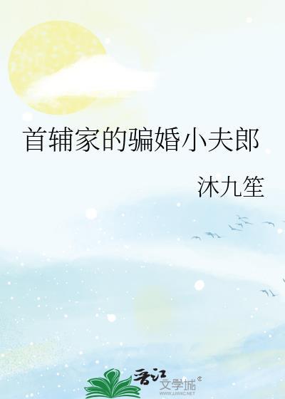 首辅家的小夫郎