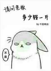 老板你这瓜多少钱一斤