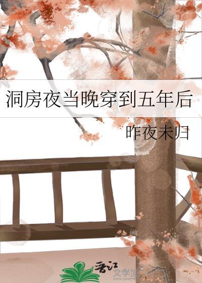 洞房当晚穿越到五年后