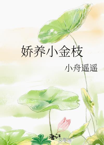娇养小金枝by小舟遥遥全文txt