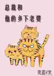 总裁和他的乡下老婆不灭龙帝