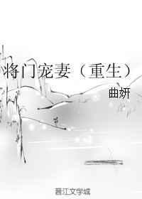 将门权宠