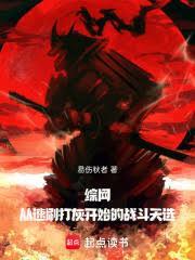 综网从速刷打灰开始的战斗天选原著