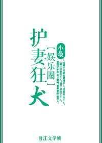 护妻狂魔日剧完整版电视剧在线
