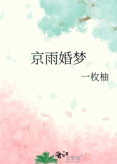 京雨婚梦番外百度