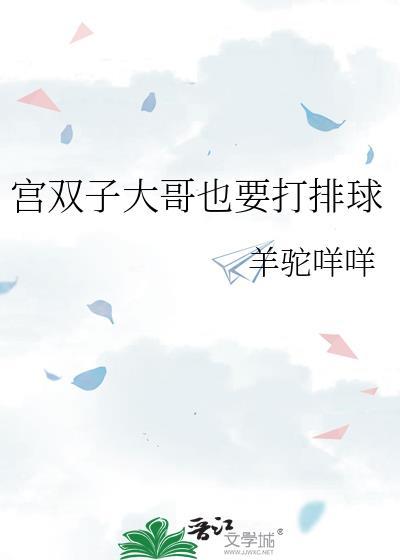 宫双子大哥也要打排球笔趣阁免费阅读
