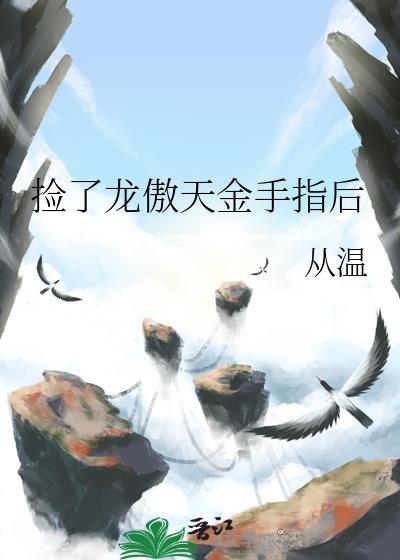 捡了龙傲天的金手指之后