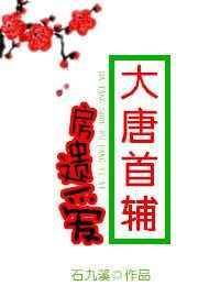 大唐首辅房遗爱by
