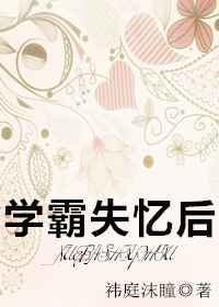 学霸失忆后书包网