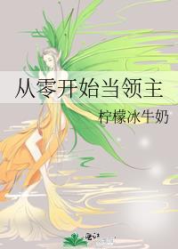 从零开始当领主百度百科