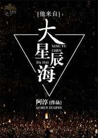 他来自大星辰海快穿阿淳