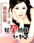 幕后总裁好孕妈咪1+1