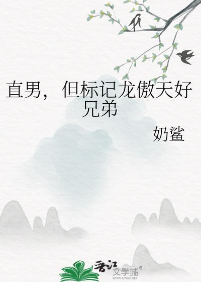 直男但标记龙傲天好兄弟免费阅读