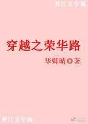 穿越之荣华归—沐水游