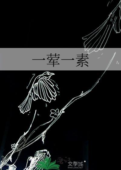 一荤一素蒜且txt