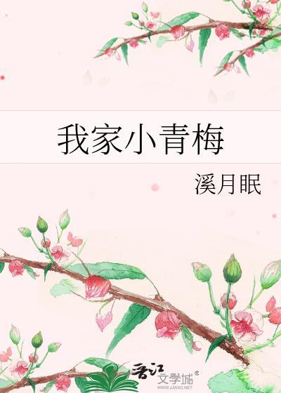 我家小青梅TXT