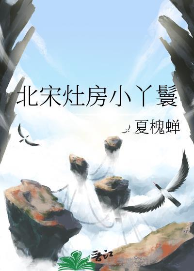 北宋灶房小丫鬟 陈鸢