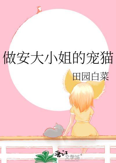 安大小姐歌曲视频