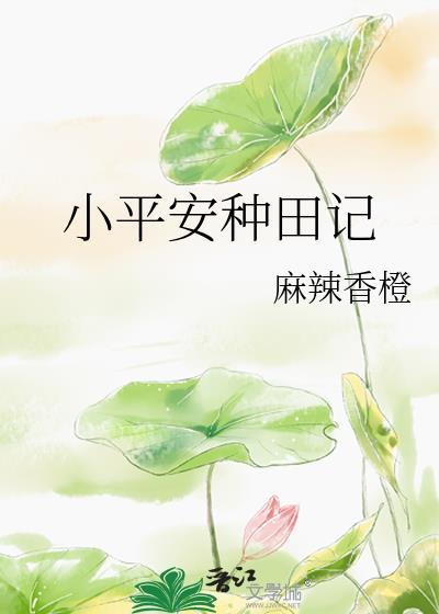 小平安种田记免费阅读