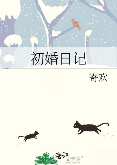 初婚简介