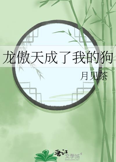 龙傲天成了我老婆免费阅读全文