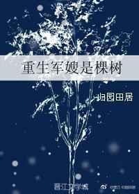 重生军嫂重生军婚