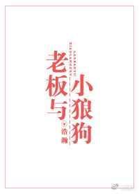 老板与小狼狗 剧透