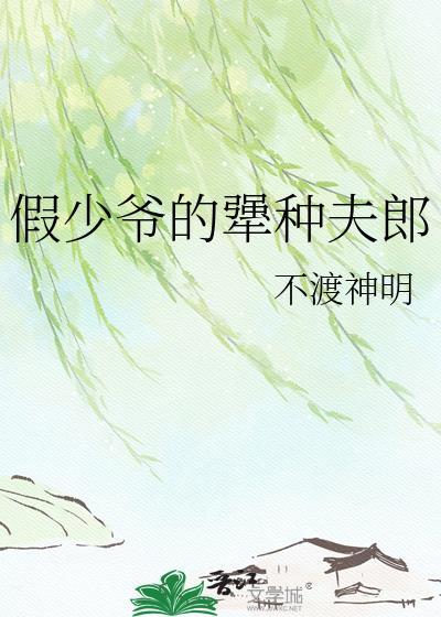 假少爷的犟种小夫郎直男的戏精小夫郎