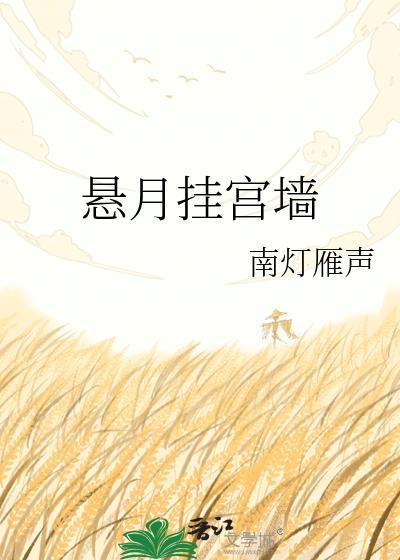 悬月挂宫墙_南灯雁声