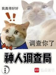 神秘人调查法