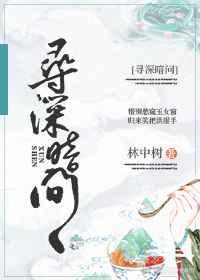 寻暗集