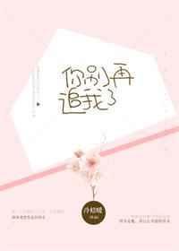 你别再追我了晋江