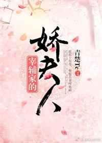 宰辅家的娇夫人百度