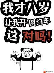 让我开网约车这对吗?萧诧免费阅读
