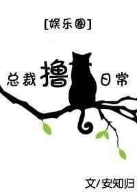 总裁猫coco