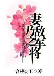 妻乃敌军之将笔趣阁