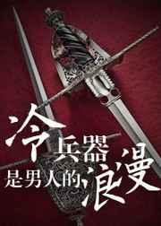 冷兵器是男人的浪漫TXT