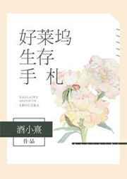好莱坞生存手札txt