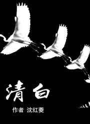清白之躯