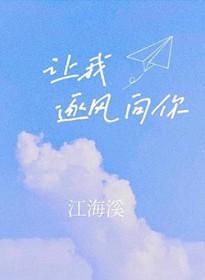 让我随风去流浪是什么歌
