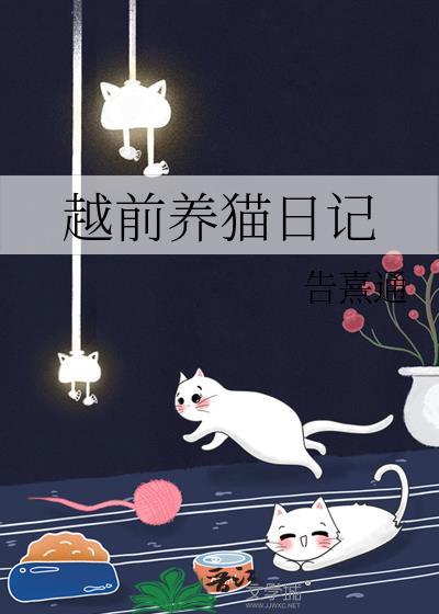 养猫日记