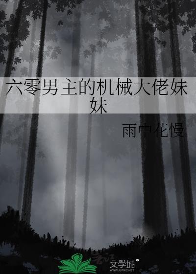 六零男主的机械大佬妹妹雨中