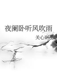 夜阑卧听风吹雨关心则乱txt
