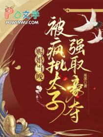 赐婚全文阅读
