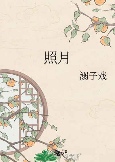 照月亮的手机参数