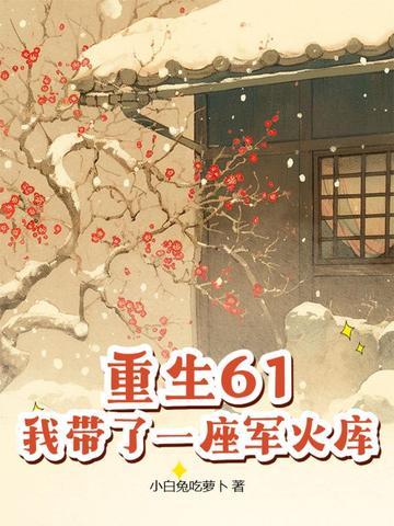 重生61，我带了一座军火库 