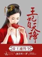 帝王通缉令:王妃自天降